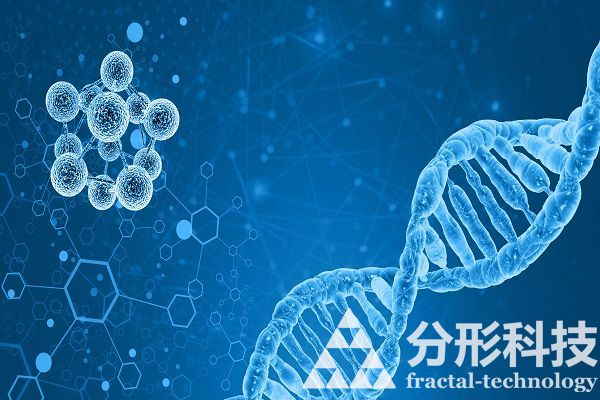 醫(yī)院網(wǎng)站建設(shè)：提升醫(yī)療服務(wù)水平與患者體驗(yàn)